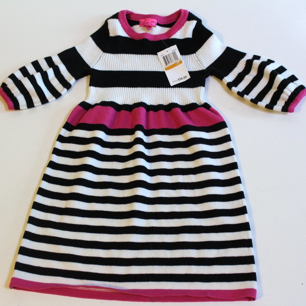 Take Out Girl Sweater Dress Size 3T